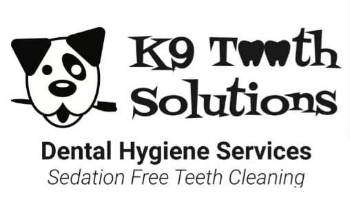 K9 Tooth Solutions